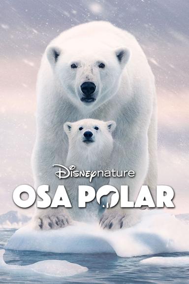 Imagen Osa Polar