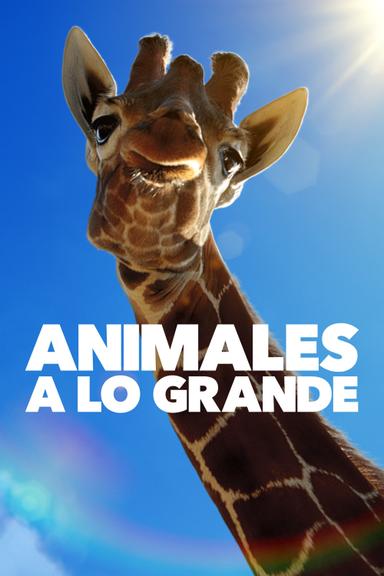 Imagen Animales a lo grande