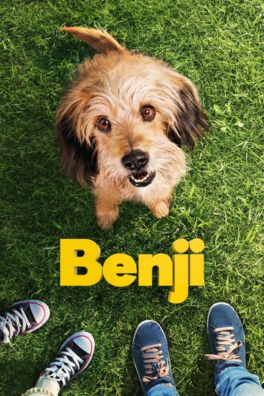 Imagen Benji