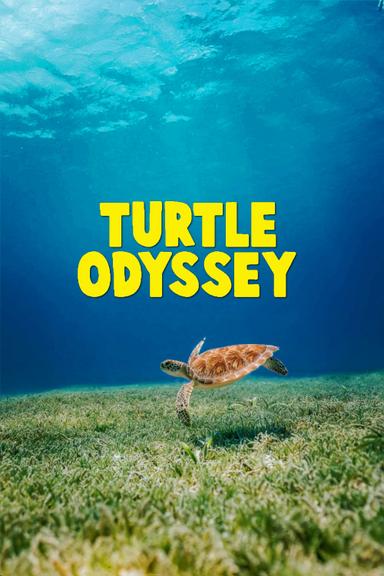 Imagen Turtle Odyssey