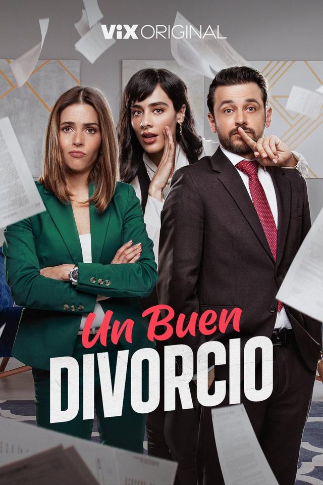 Imagen Un buen divorcio 1x1