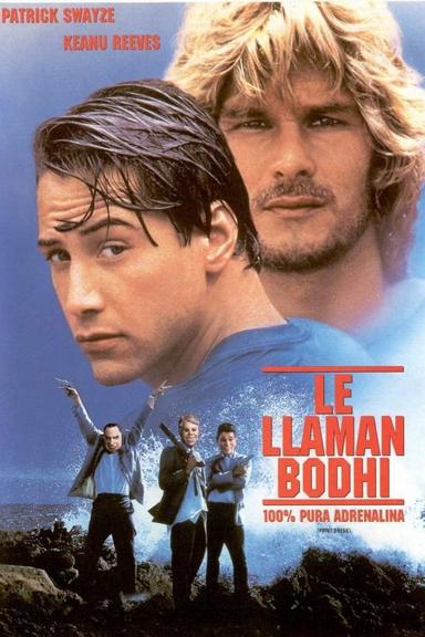 Imagen Le llaman Bodhi