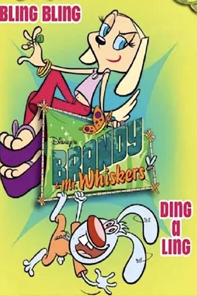 Imagen Brandy y Mr. Whiskers