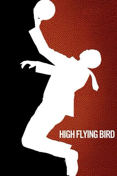 Imagen High Flying Bird