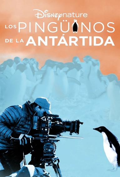 Imagen Los pingüinos de la Antártida