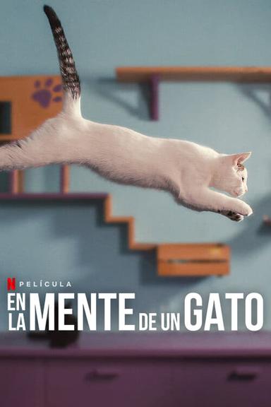 Imagen En la mente de un gato