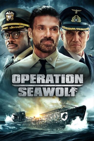 Imagen Operación Seawolf