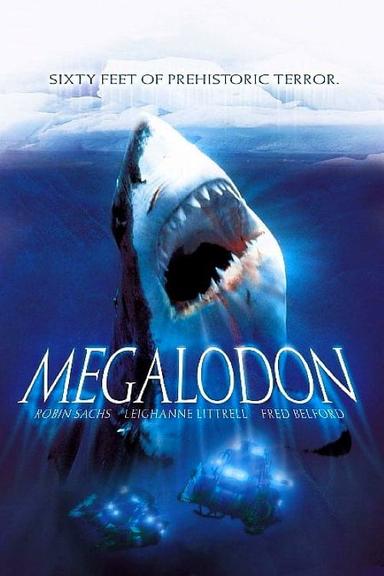 Imagen Megalodon