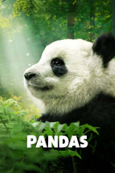 Imagen Pandas: El Camino a Casa