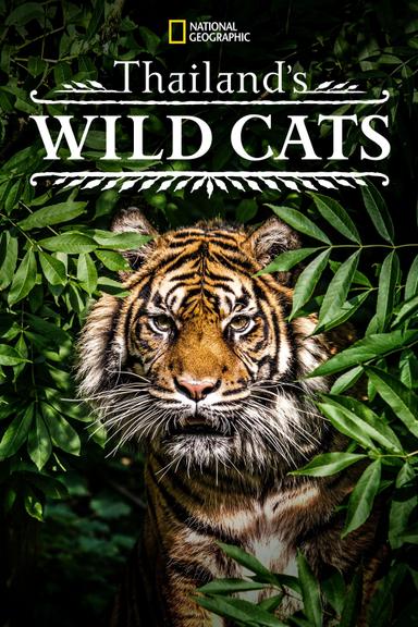 Imagen Thailand's Wild Cats