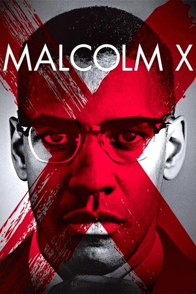 Imagen Malcolm X