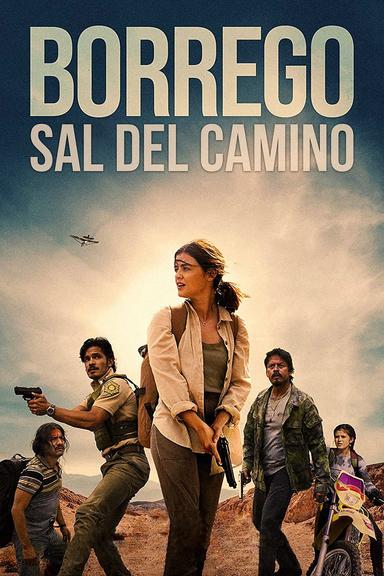 Imagen Borrego – Sal Del Camino