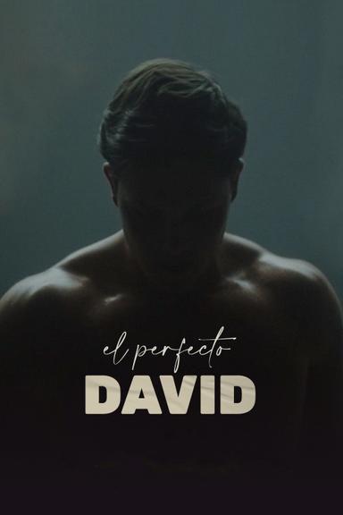 Imagen El perfecto David