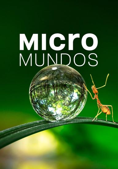 Imagen Micromundos