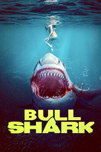 Imagen Bull Shark