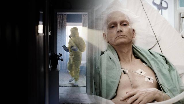 Imagen Litvinenko