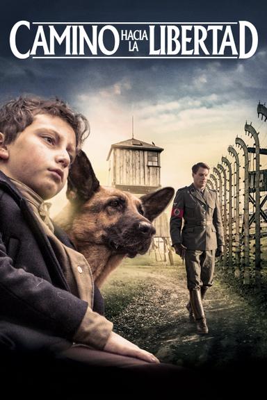 Shepherd: The Story of a Jewish Dog