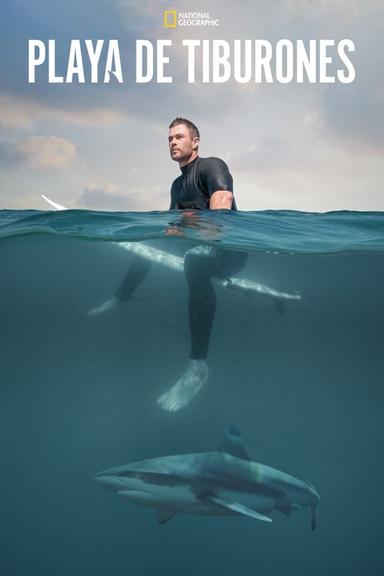 Imagen Playa de tiburones