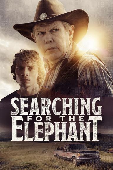 Imagen Searching for the Elephant