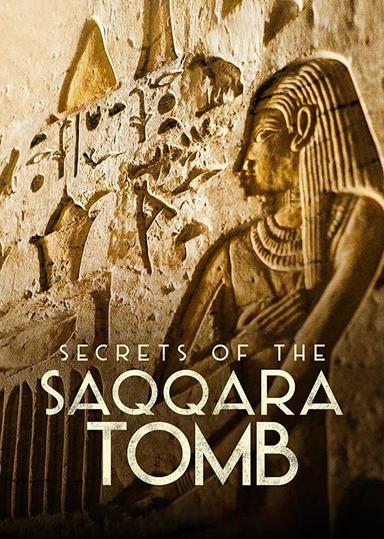 Imagen Los secretos de la tumba de Saqqara