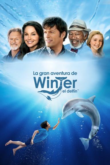 Imagen La gran aventura de Winter el delfín