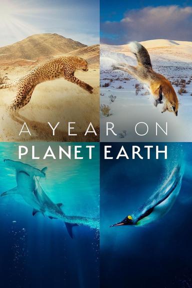 Imagen A Year on Planet Earth